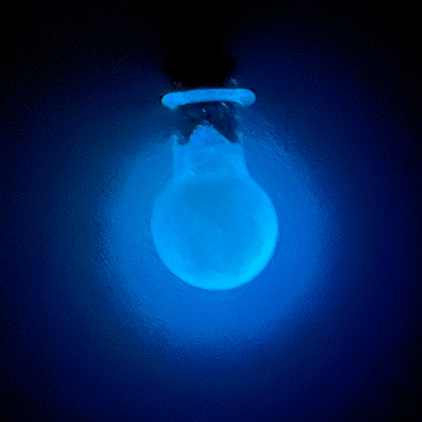 'Potio Lunaris' Necklace | Limited Edition